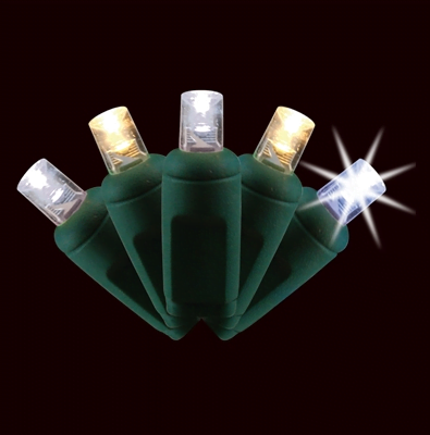 LED 5MM Light Set - Plugged - Strobe Function