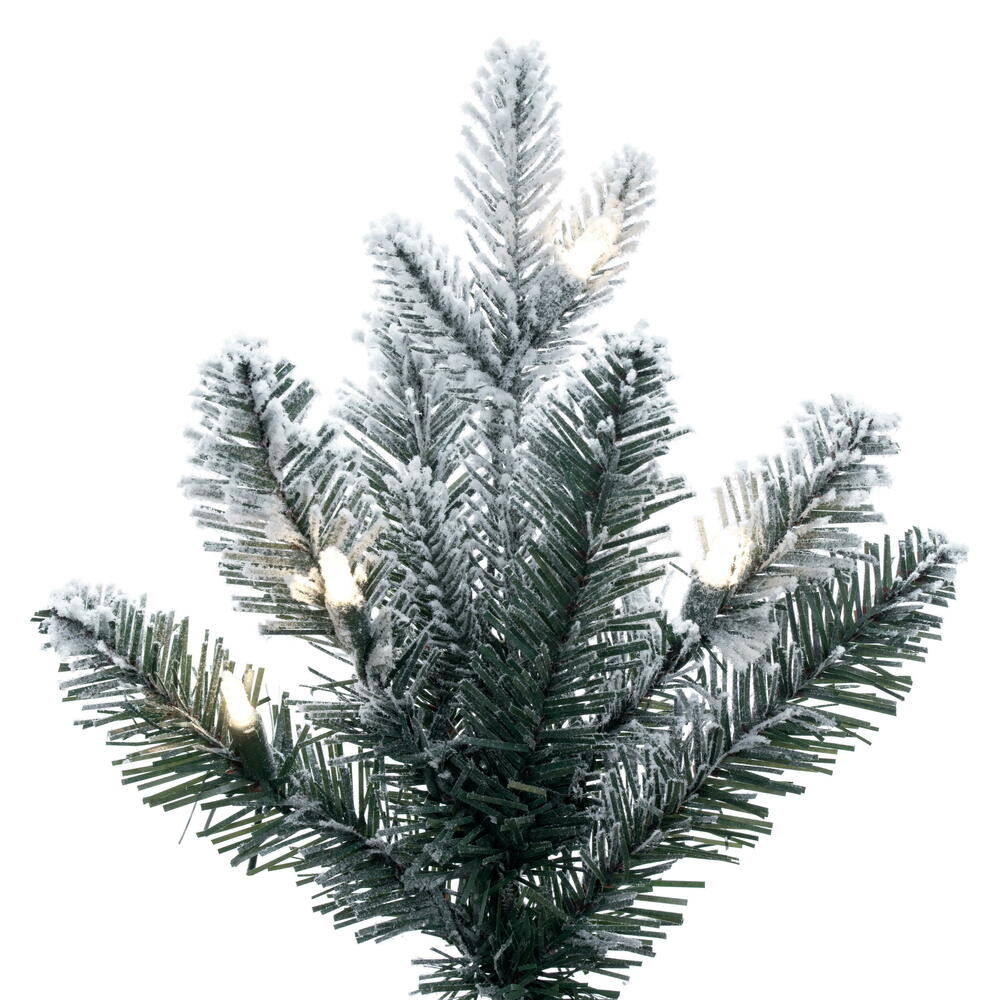 Frosted Spruce Tree in decorative pot - Accent Tree (4.5' and 6')