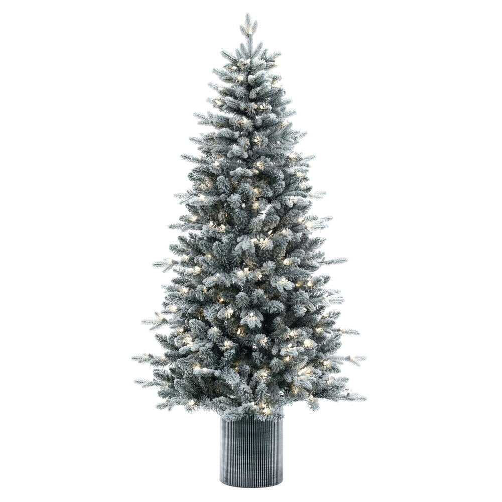 Frosted Spruce Tree in decorative pot - Accent Tree (4.5' and 6')
