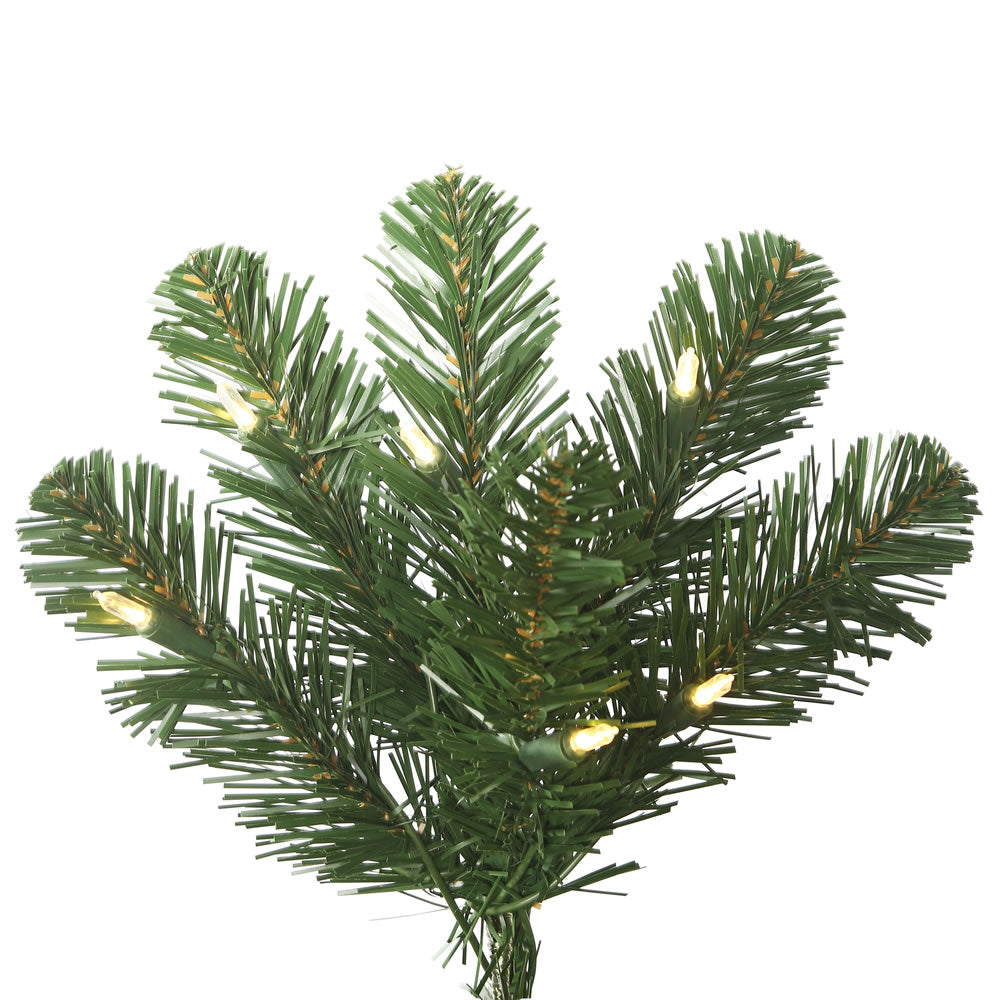 Oregon Slim Christmas Tree (6.5' -18' tall)