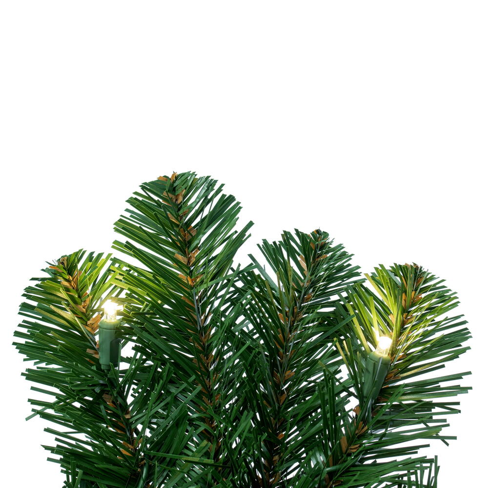 Deluxe Sequoia Fir Wreath Wreath – 36in