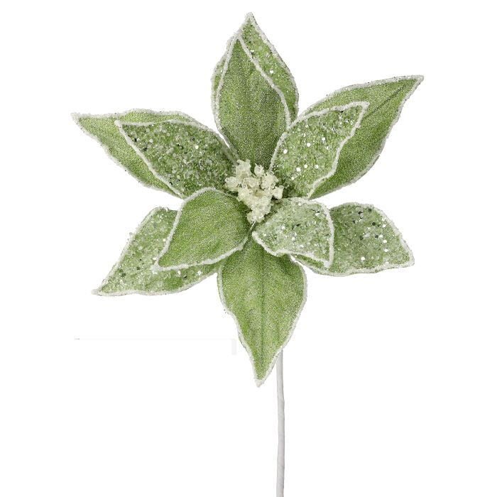 22" Green Sugared Dessert Poinsettia Stem