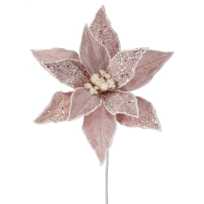 22" Pink Sugared Dessert Poinsettia Stem