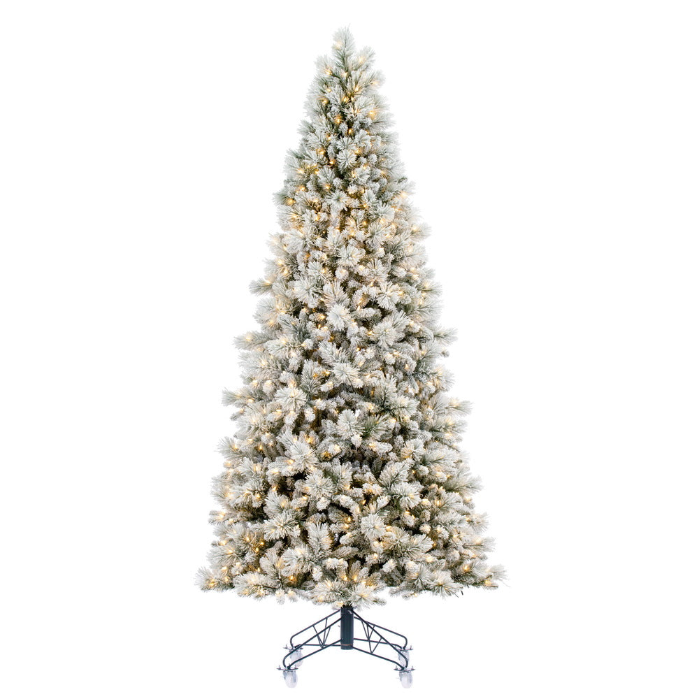 Flocked Jackson Tree (7.5' -12')