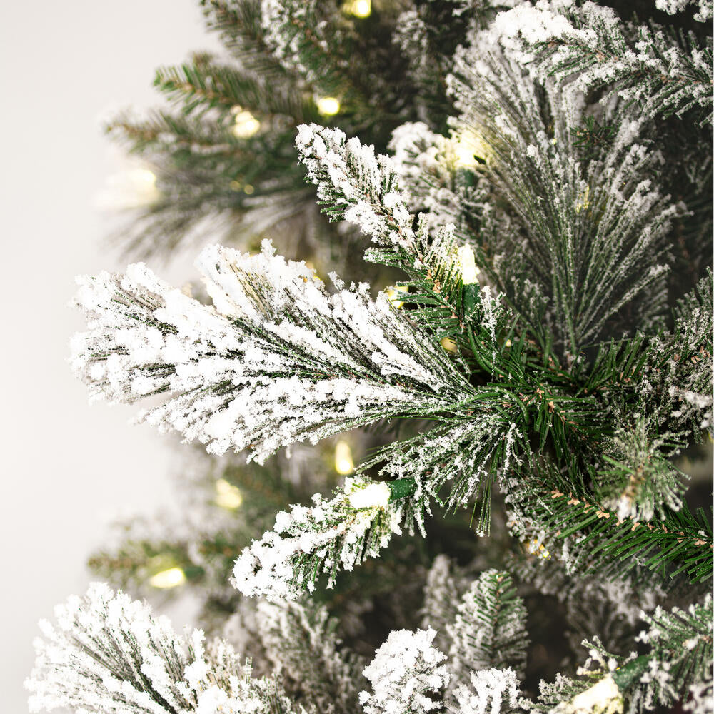 Flocked Jackson Tree (7.5' -12')