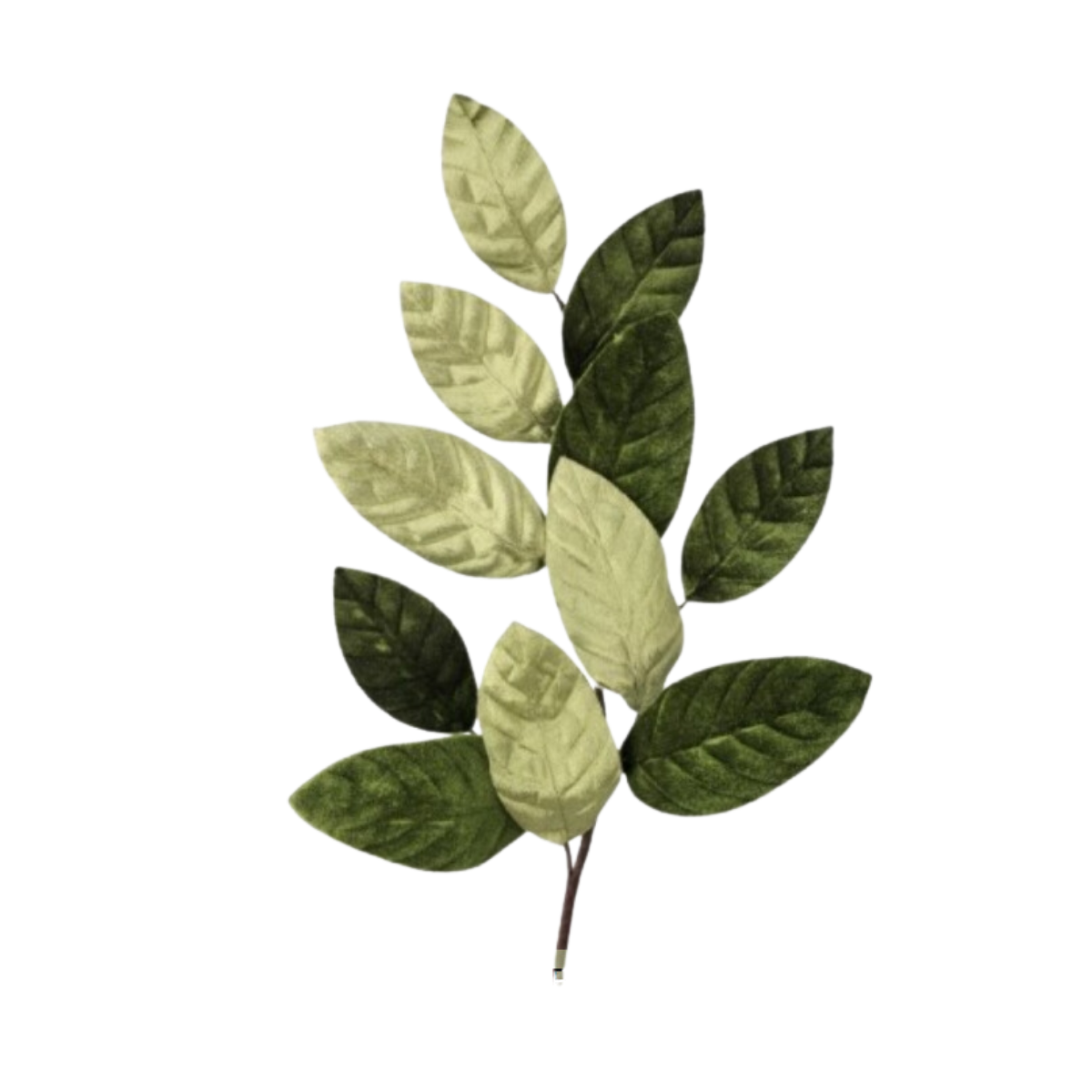 26" Velvet Magnolia Leaf Spray  - Brwn