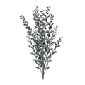 22" GLITTER/SEQUIN BOXWOOD X12 SPRAY  - PEWTER