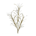34"GLITTER/SEQUIN PAMPAS GRAS SPRAYX3 - GOLD