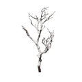 27" Snowy Faux Manzanita Stem - White