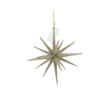 9" Plastic Starburst Ornament - Champagne