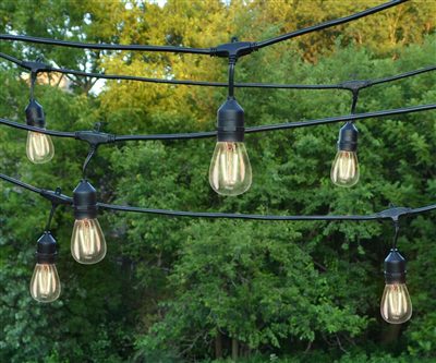 LED Edison-Style Patio Bulb - Double Filament - Warm White - S14 (25 Pack)