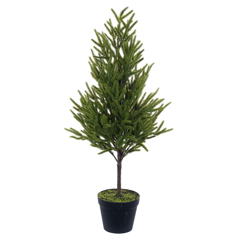 36" Green Norfolk Pine Dripping Garland