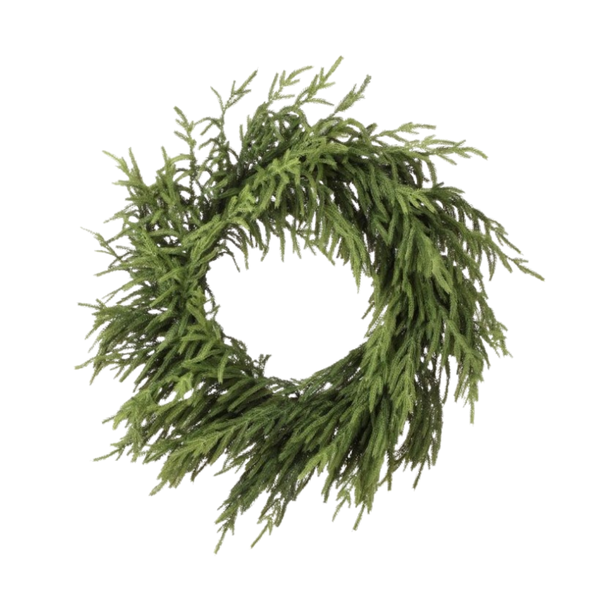 Just Cut Norfolk Pine Wreath
