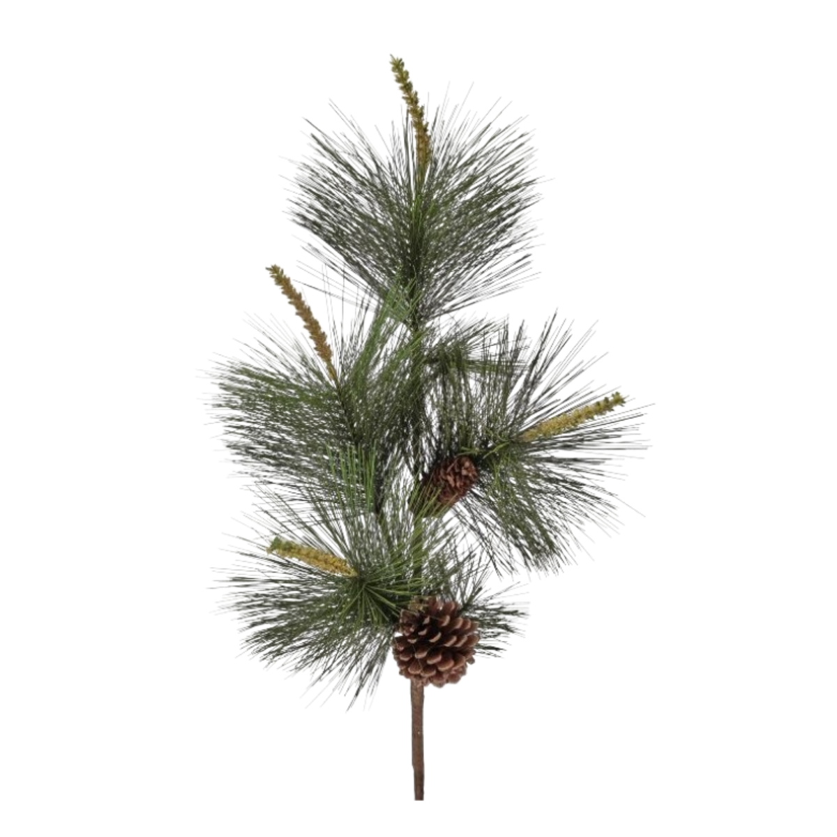 32" Sugar Pine Spray