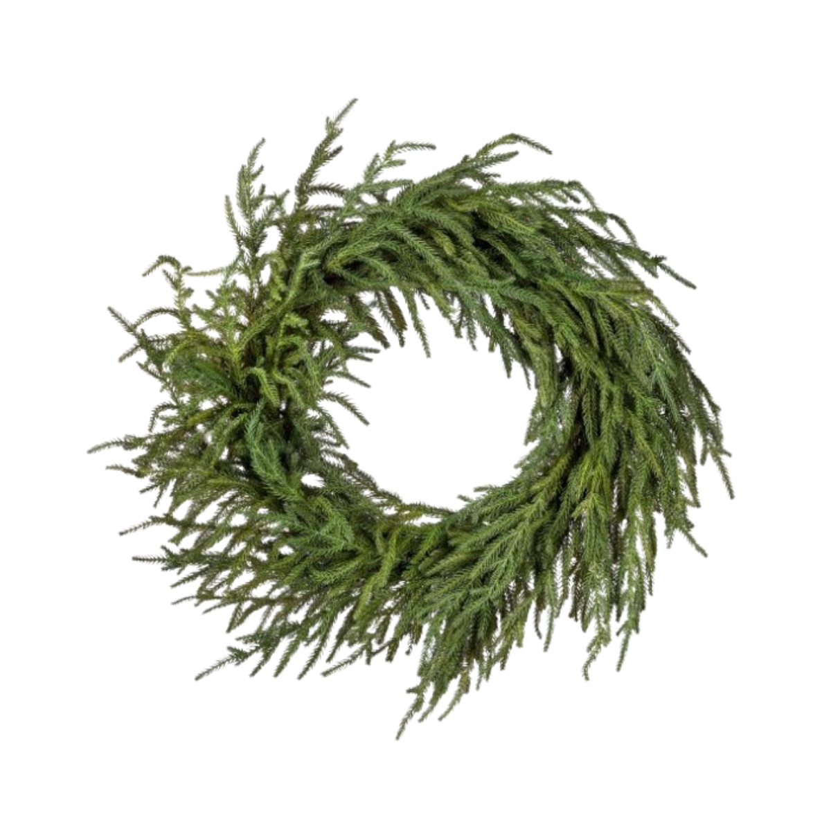 Just Cut Norfolk Pine Wreath