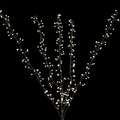 Big Seed Cluster Twigs - Warm White LED