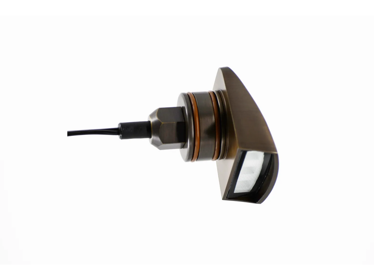 Lumien Brass Antique Hooded Surface Wall Light