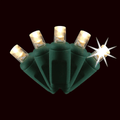 LED 5MM Light Set - Plugged - Twinkle Function